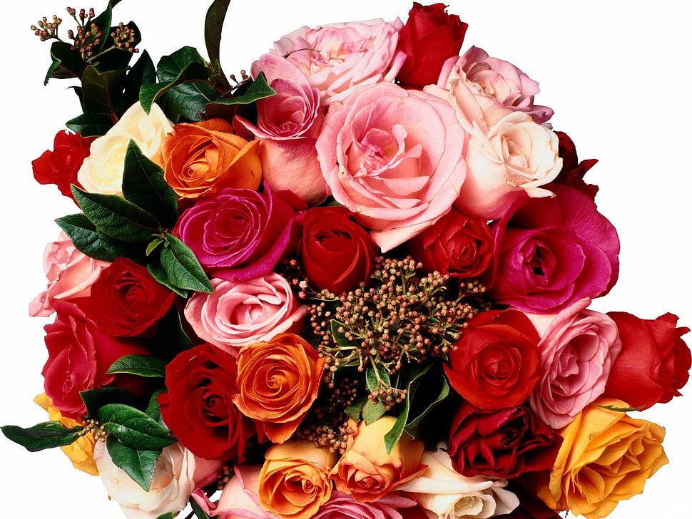 bouquet of red, orange, and white Rose flowers HD wallpaper
